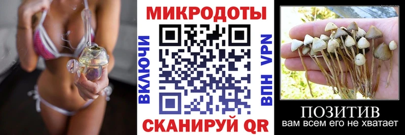 MEGA зеркало  Алагир  Псилоцибиновые грибы ЛСД  купить наркотик 